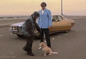 gif jack black|jack black kicking dog gif.